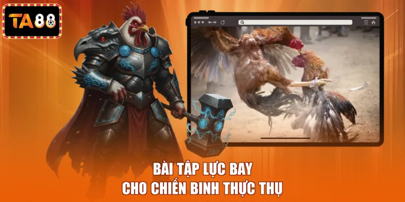 Bài tập lực bay cho chiến binh thực thụ