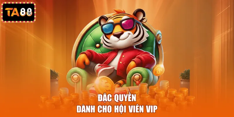 Đặc quyền dành cho hội viên VIP