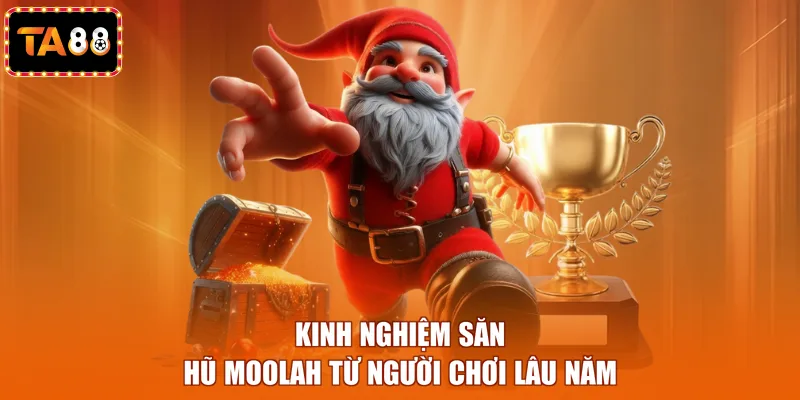 Kinh nghiệm săn hũ Moolah từ người chơi lâu năm