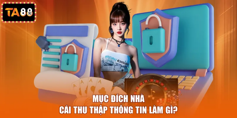 Mục đích nhà cái thu thập thông tin làm gì?