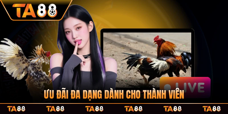 Ưu đãi đa dạng dành cho mọi thành viên sàn khi góp phần vào tay chơi